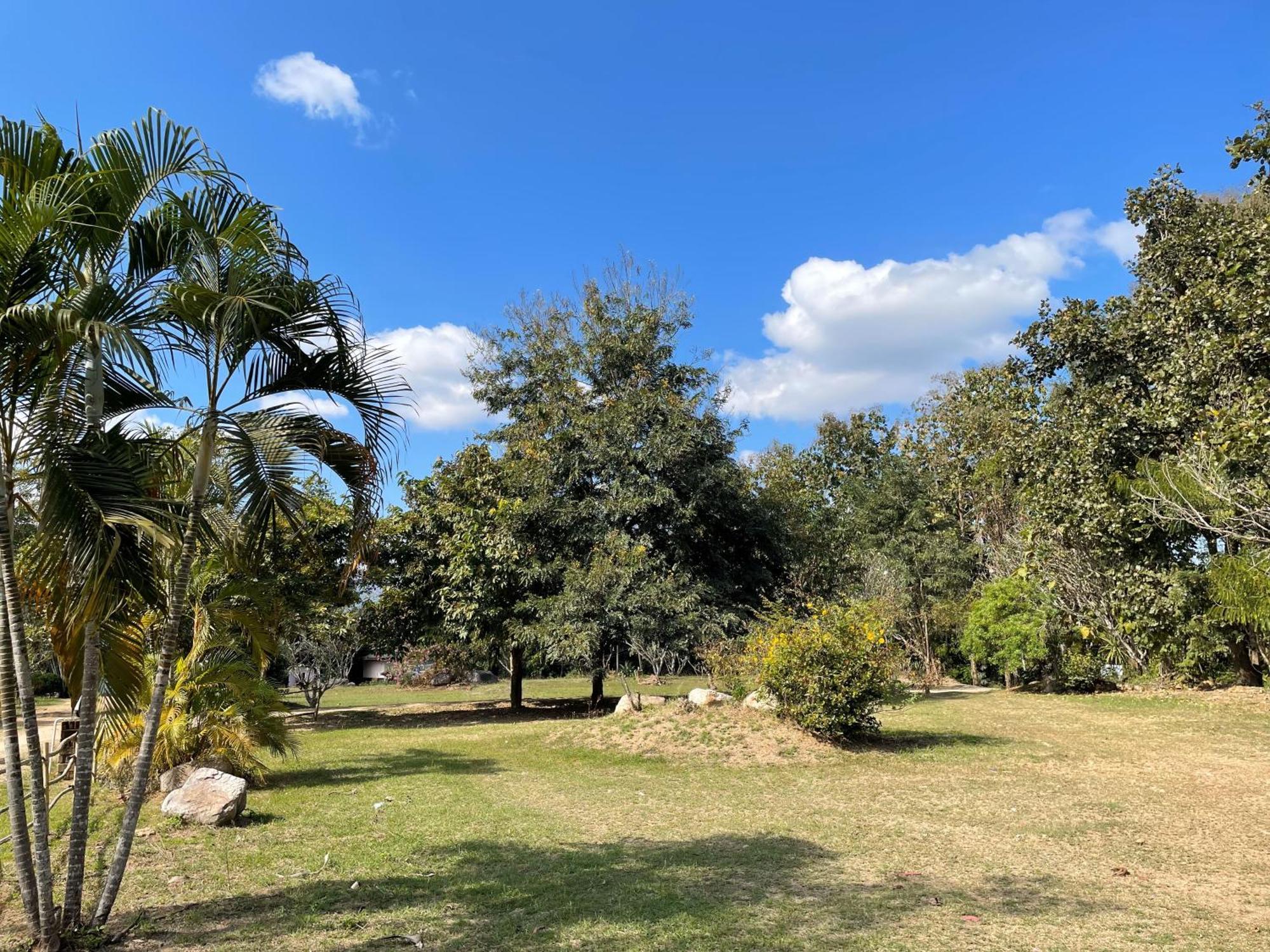 Pai Kiniman Resort Dış mekan fotoğraf